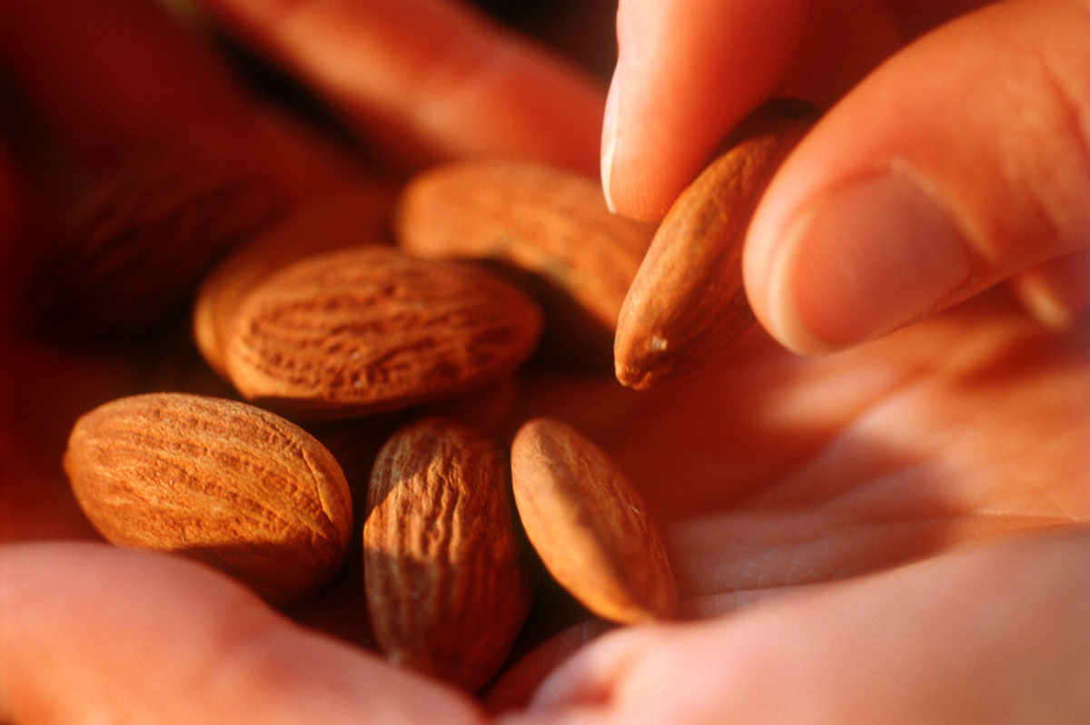 �Ƹ�� ����