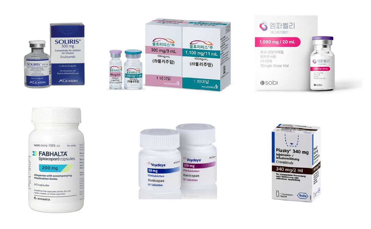 6���� ���� �ٿ� �� ����