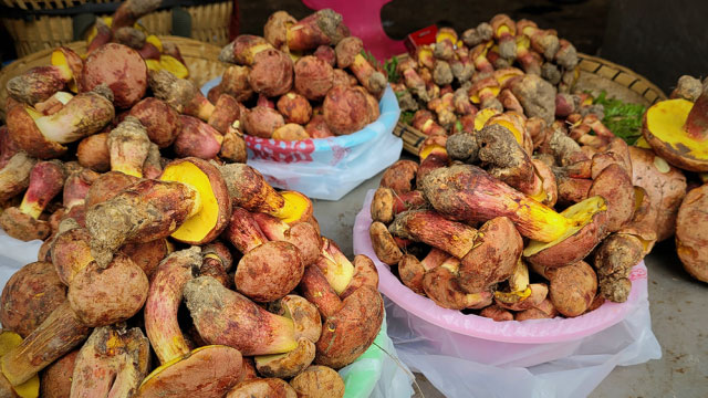 �������� �ƽþ�Ƽī ����