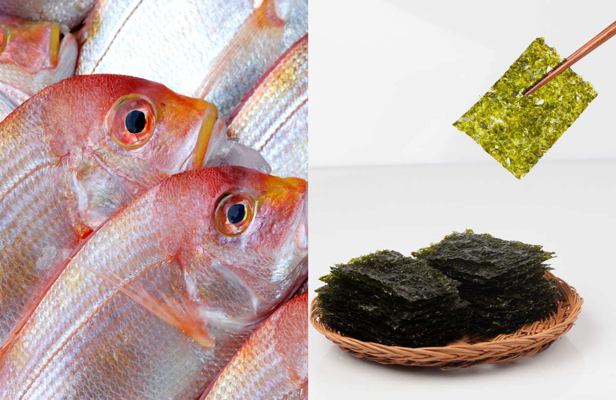 ������ �� ����