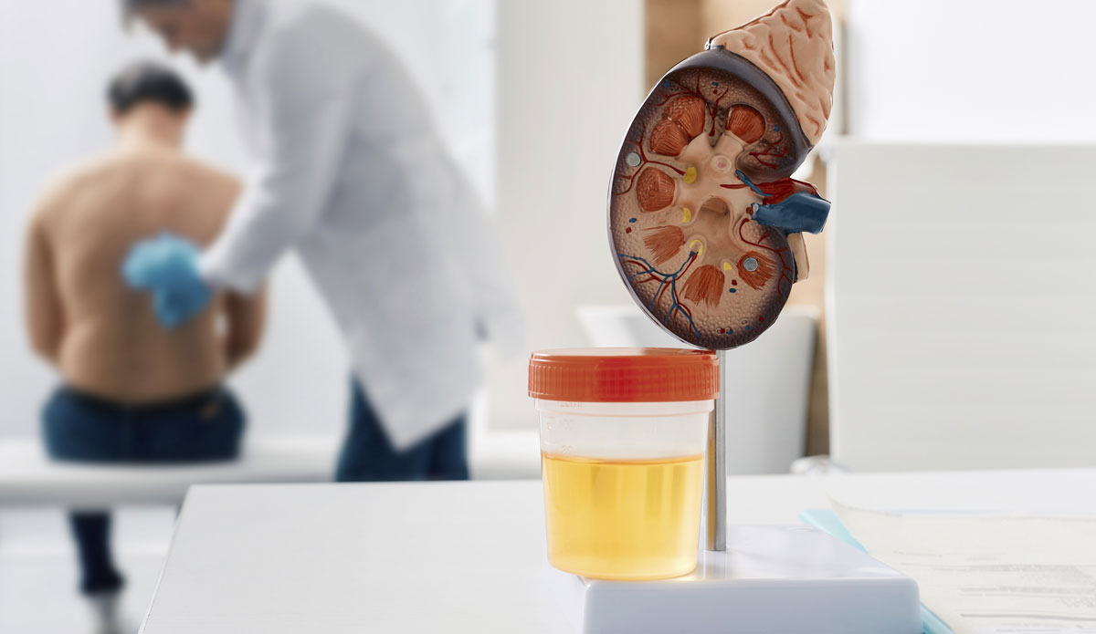 고혈압 약 잘 먹었는데 콩팥병… ‘이 검사’ 안 받으면 후회