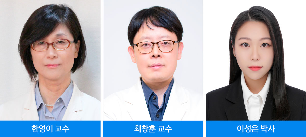 양성자빔 속도 250배 높였더니… 폐에서도 ‘플래시’ 효과 확인