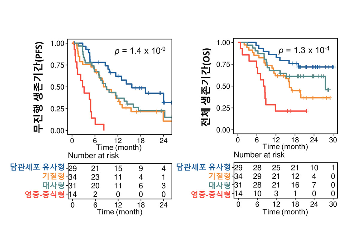 분당차병원 연구팀, 진행성 담도암 ‘젬시아’ 효과 확인