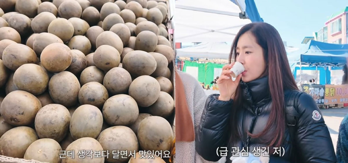 한채아, 中 열매 ‘이것’ 먹던데… “달콤한데 혈당은 그대로”