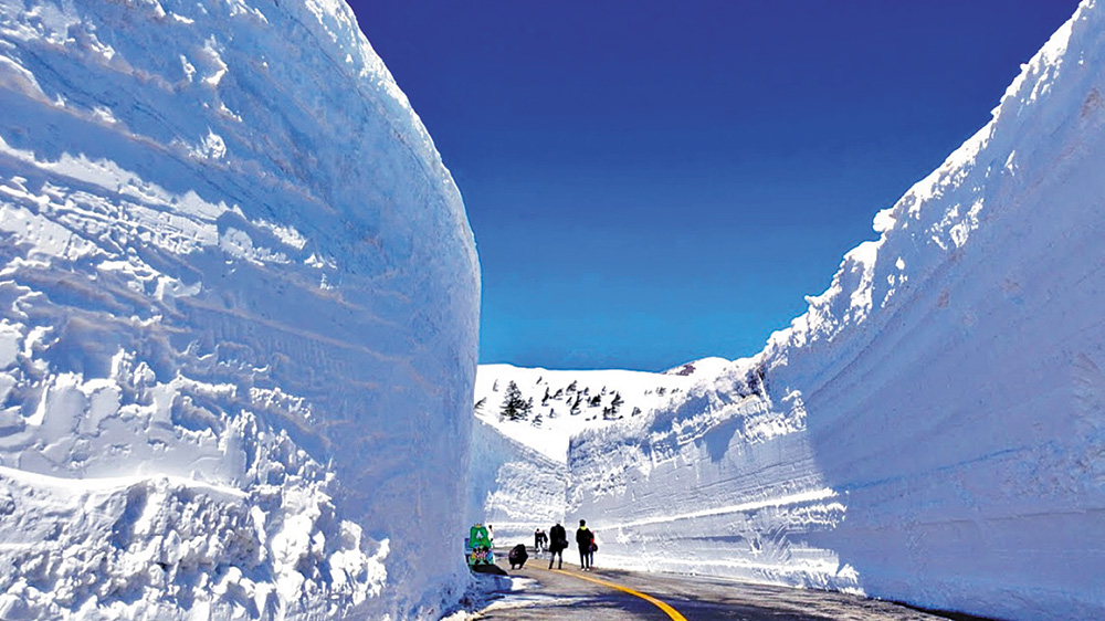 겨울과 봄을 동시에… 설벽과 '천그루 벚꽃길'