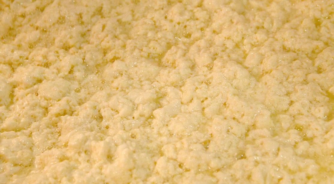 베이컨 대신 ‘이것’ 먹어라… 몸속 염증 낮추는 단백질 6가지