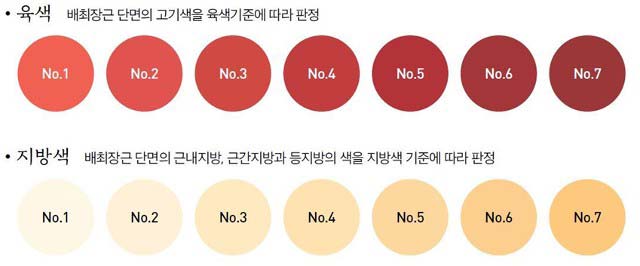 ����, ����� ǥ