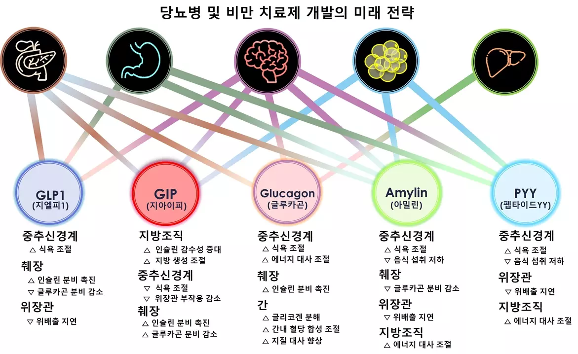 glp 1 원리 20% 이상 체중감소도 가능... '차세대 비만약' 개발 전략 제시