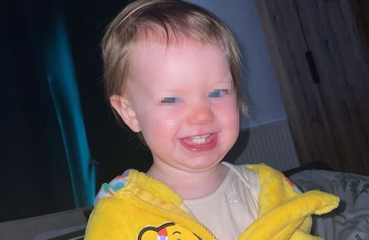 ���ο� ����