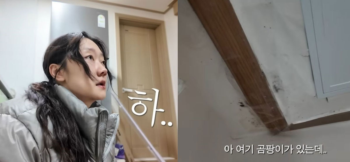 “역삼동으로 이사했는데” 천장에 곰팡이 한 가득… 박경혜, 대체 무슨 일?