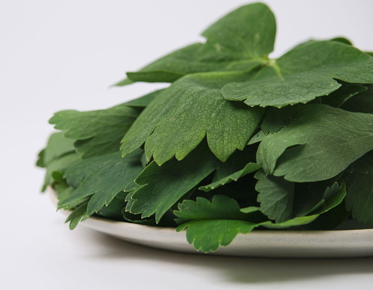 ��ǳ����