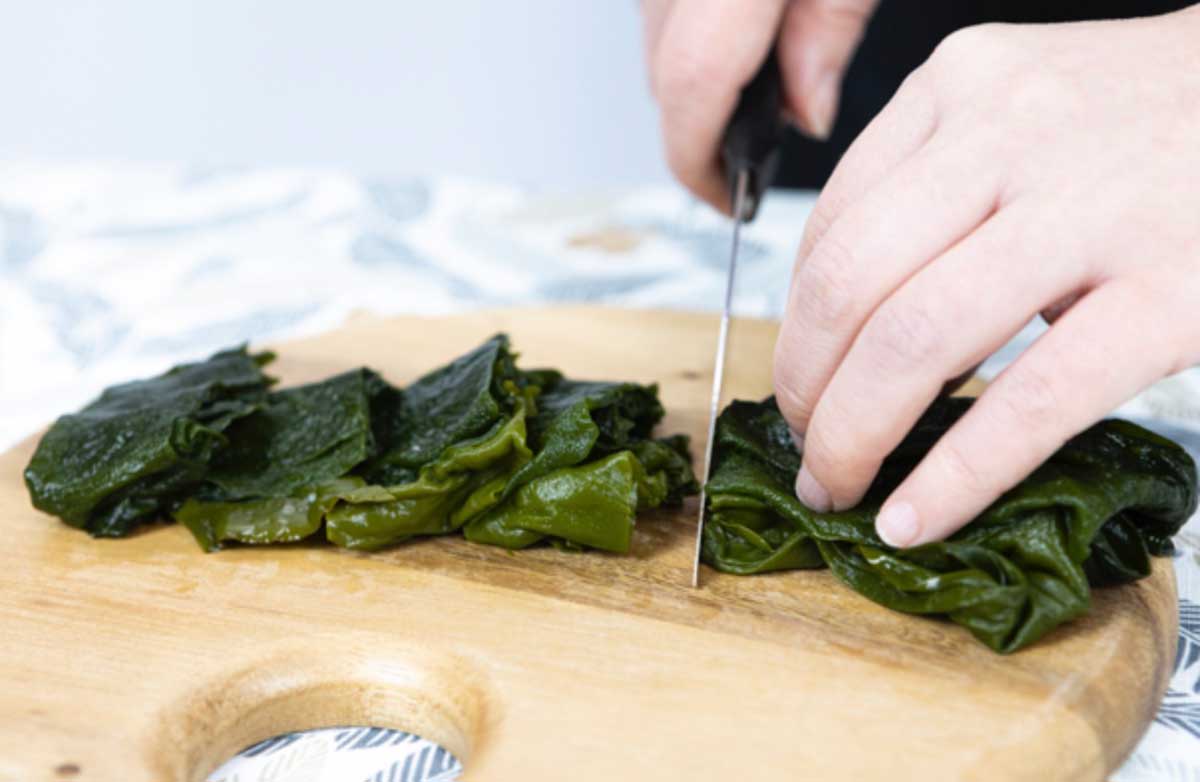 ������ ��� ���