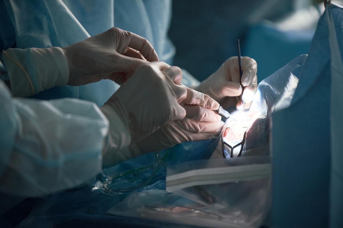 �����ϴ� ���