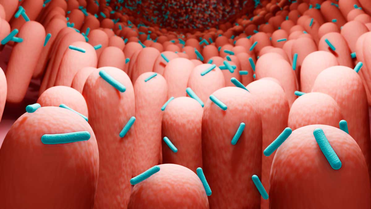 ���ι��̿�ƽ�� ����