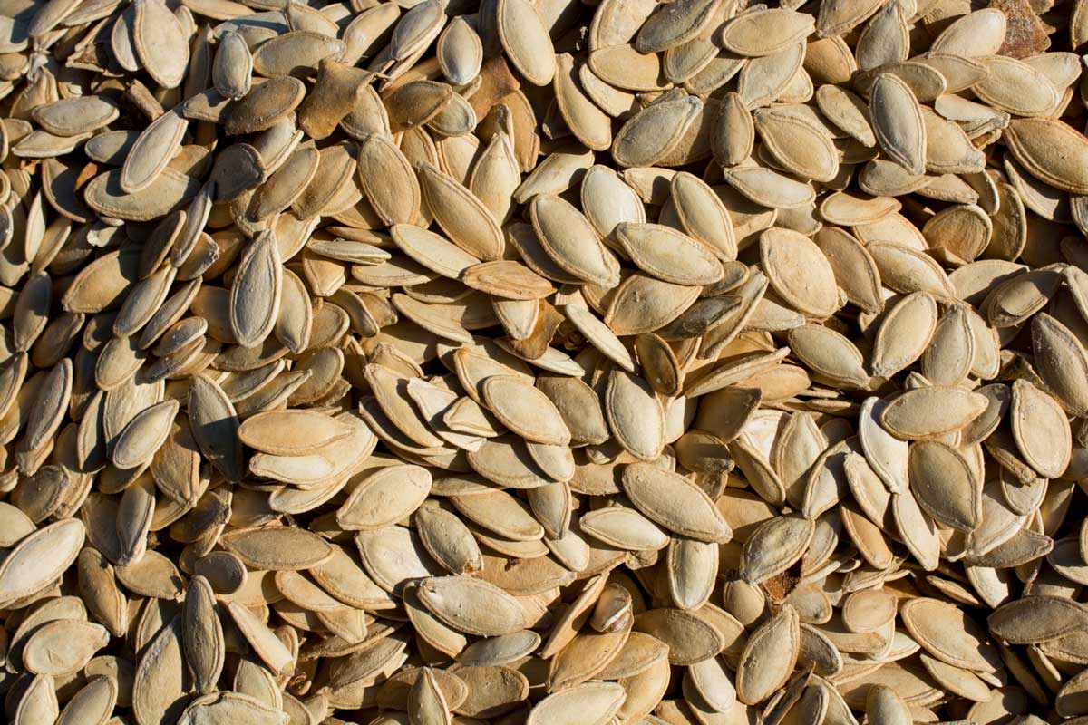 ȣ�ھ� ����