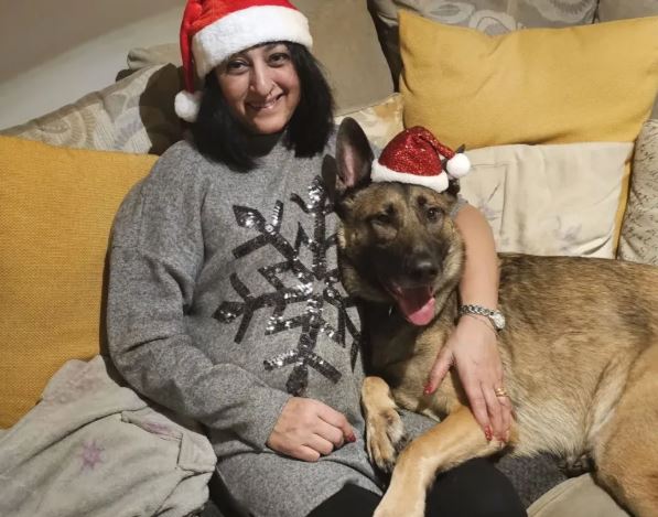 ���� ����