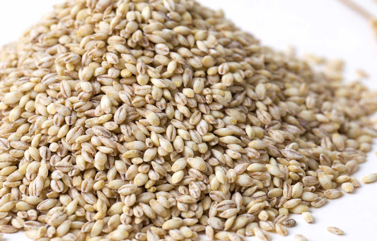 ���� ����