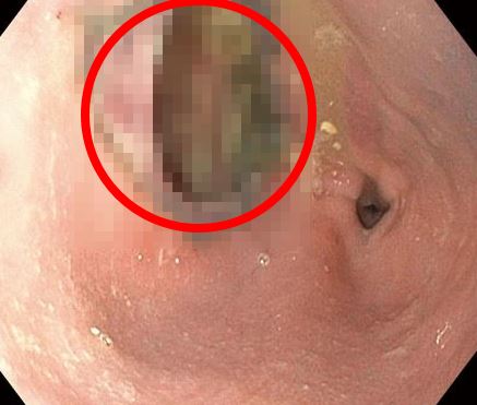 �ĵ� ���ð� ����