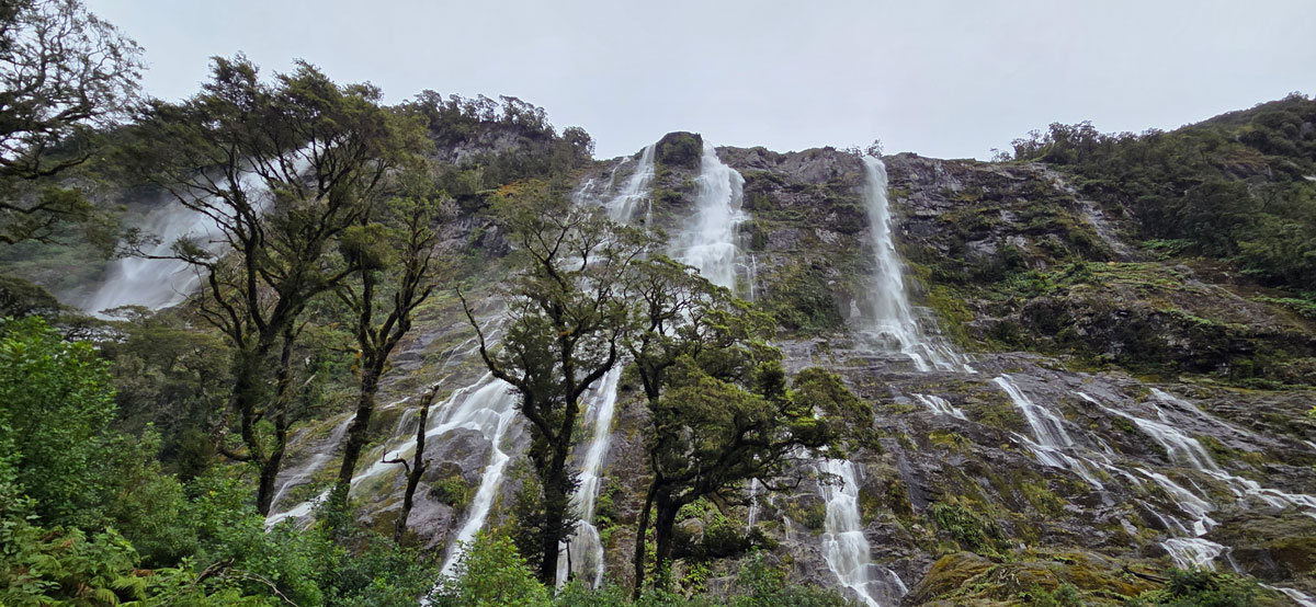 ǳ�� ����