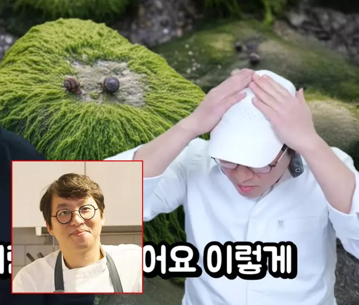 이미지