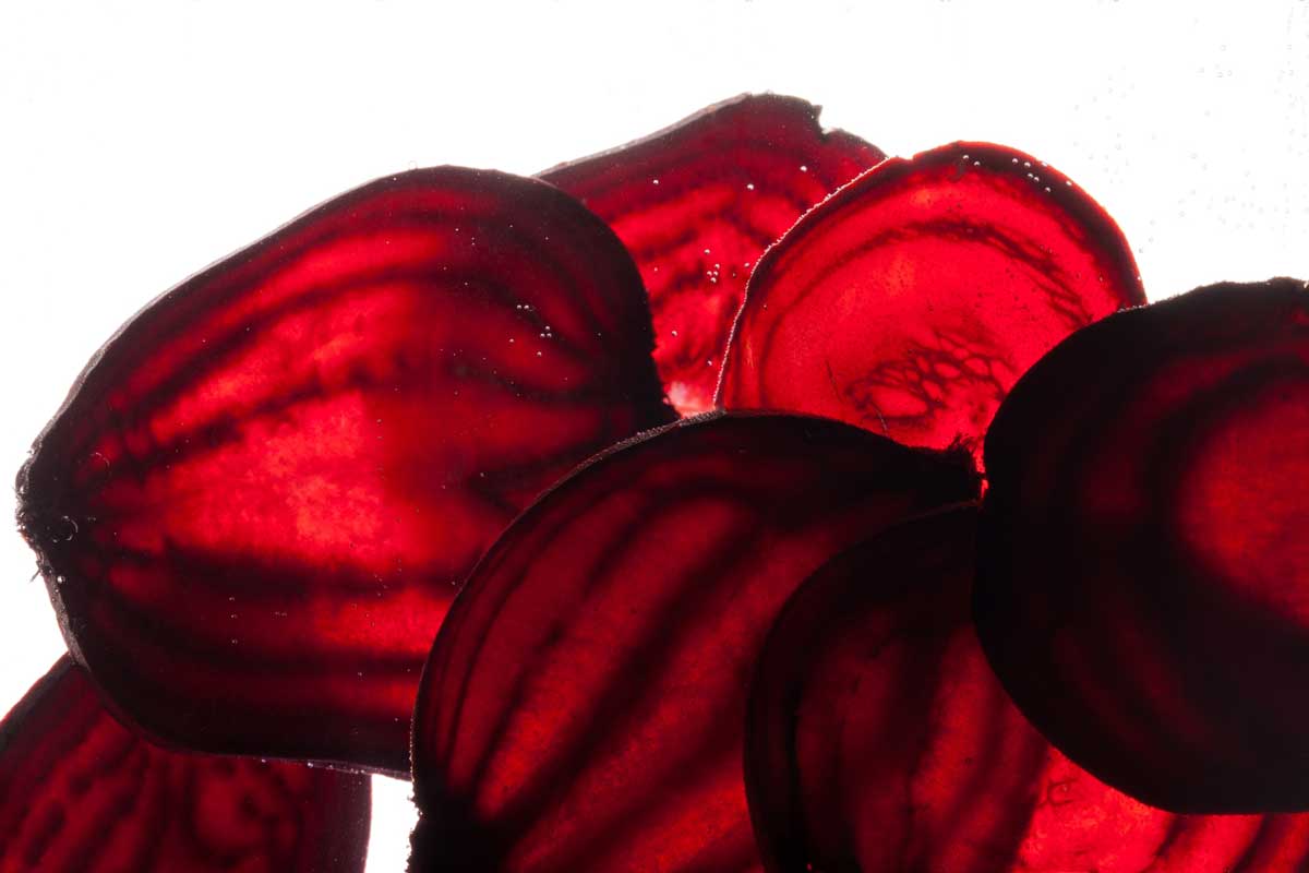 ��Ʈ ����