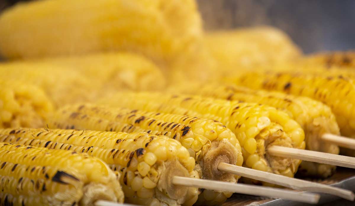 �ҿ� ������ ������