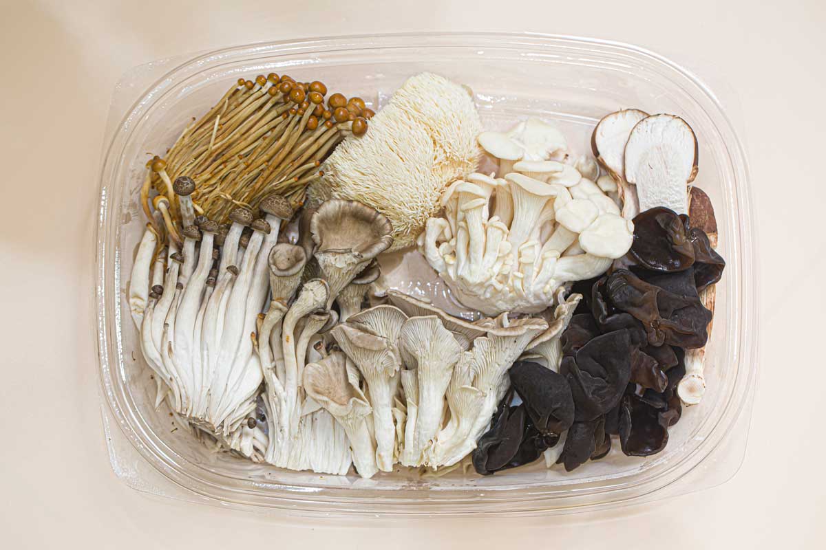 ���� ����