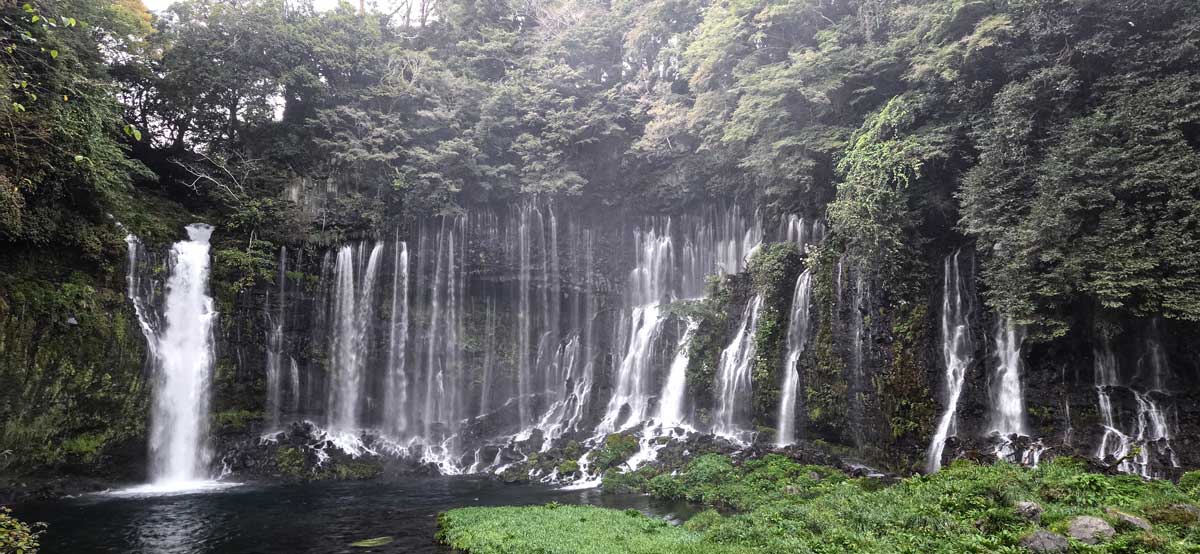 ǳ�� ����