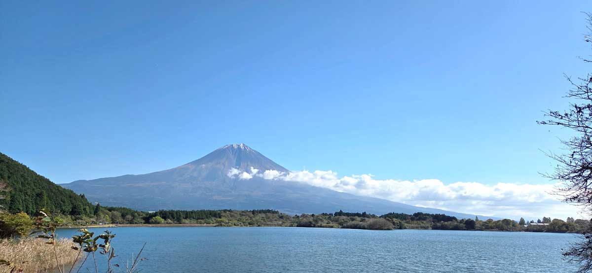 ǳ�� ����