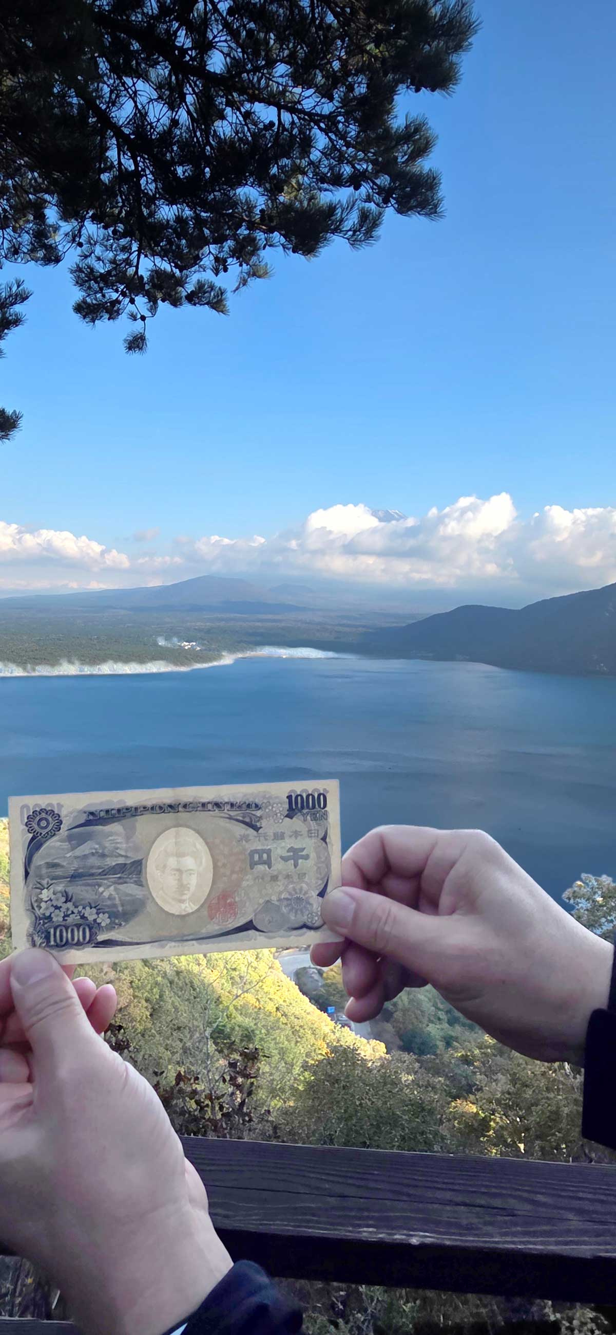 ǳ�� ����