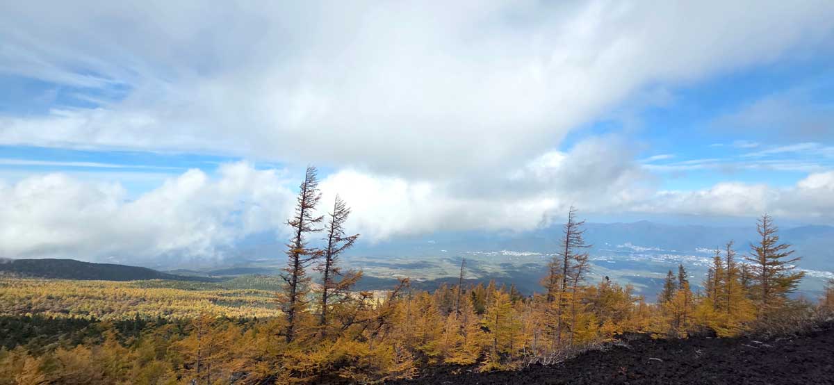 ǳ�� ����