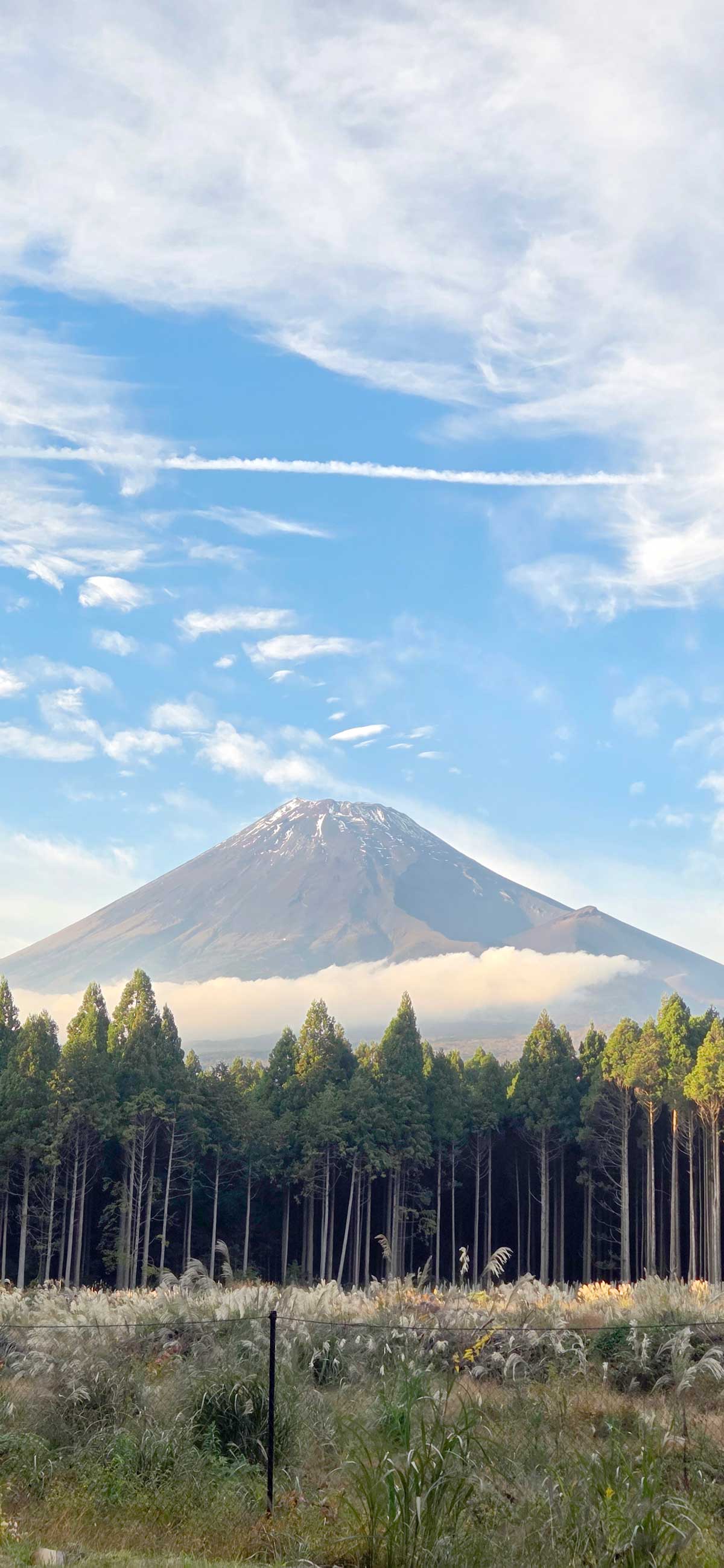 ǳ�� ����