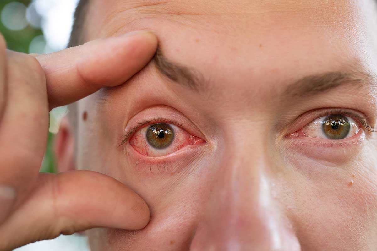 ������ ��