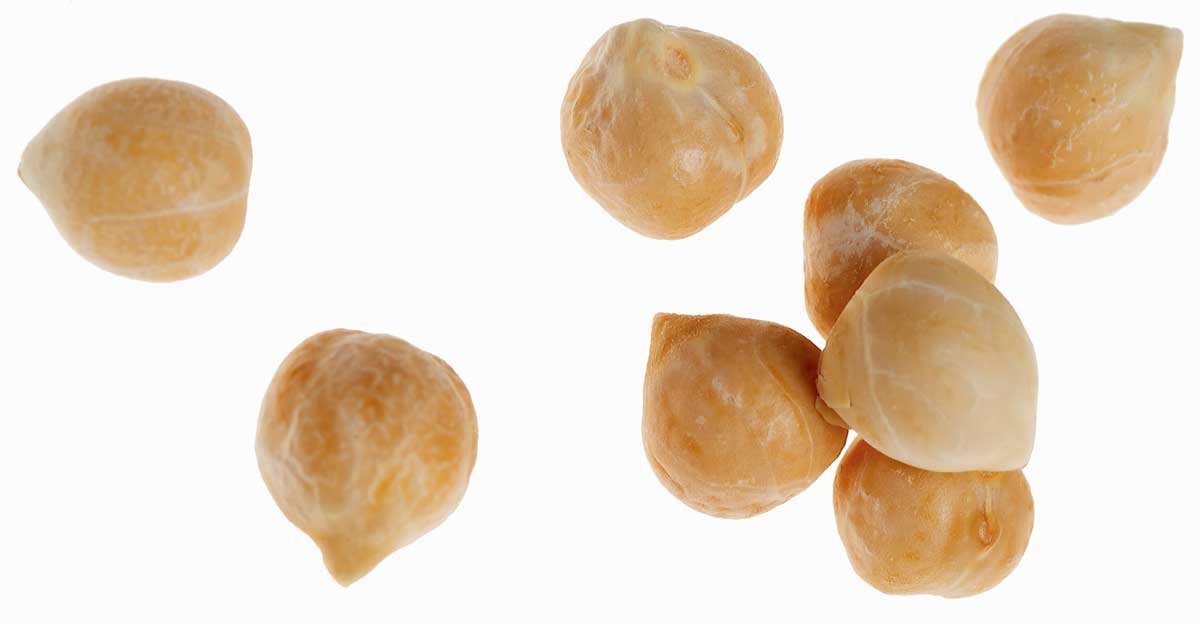 ���Ƹ��� ����