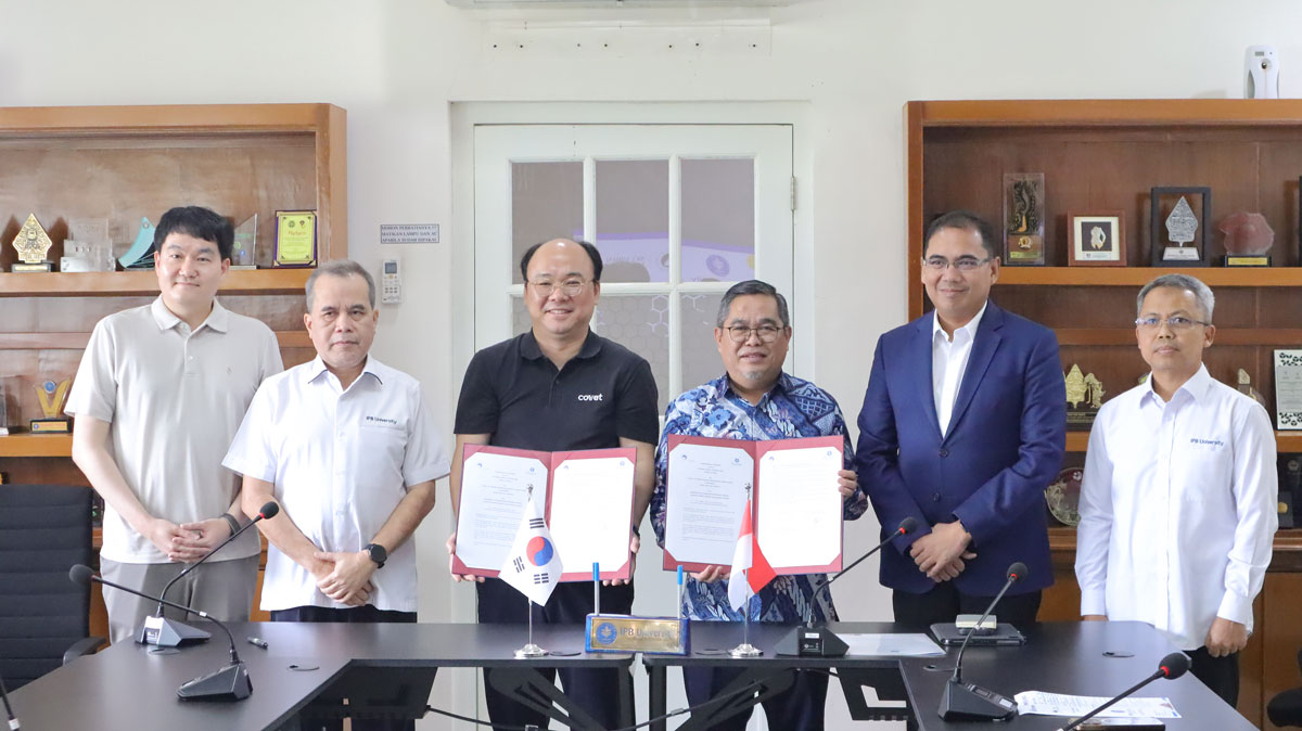 ����ü�� ����