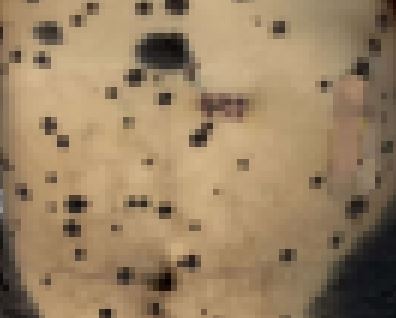 ������ ���� �ö�� ����