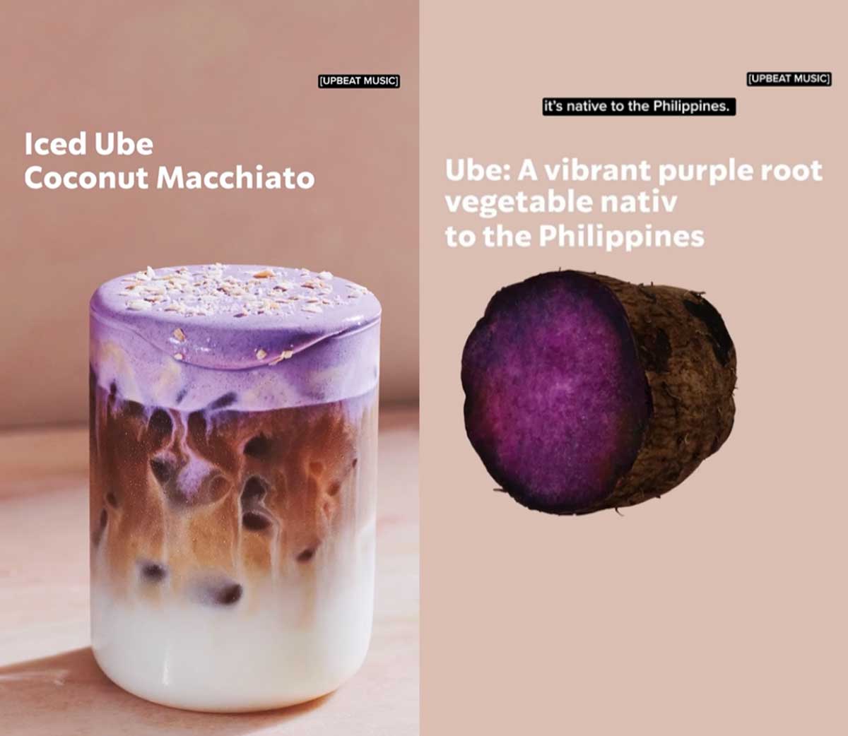 �캣 ���� ����