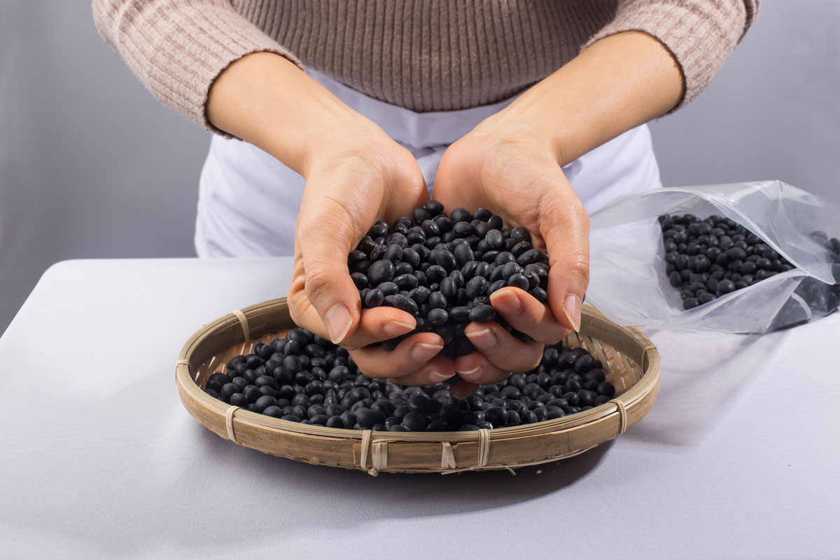 ������ �̹���