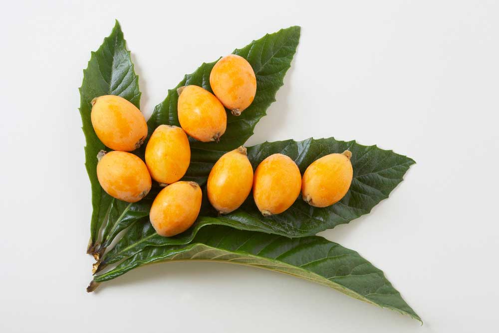 ������ ����