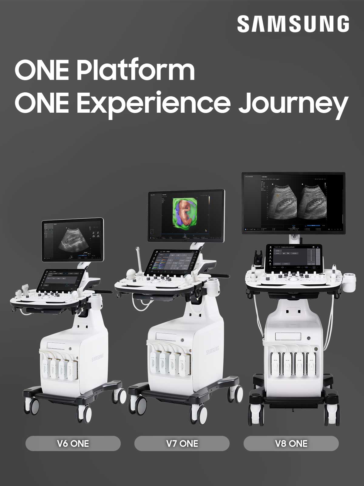 ������ �Ƿ��� ����