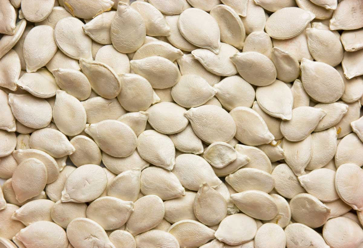 ȣ�ھ� ����