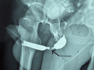 ȯ���� �˻� ����