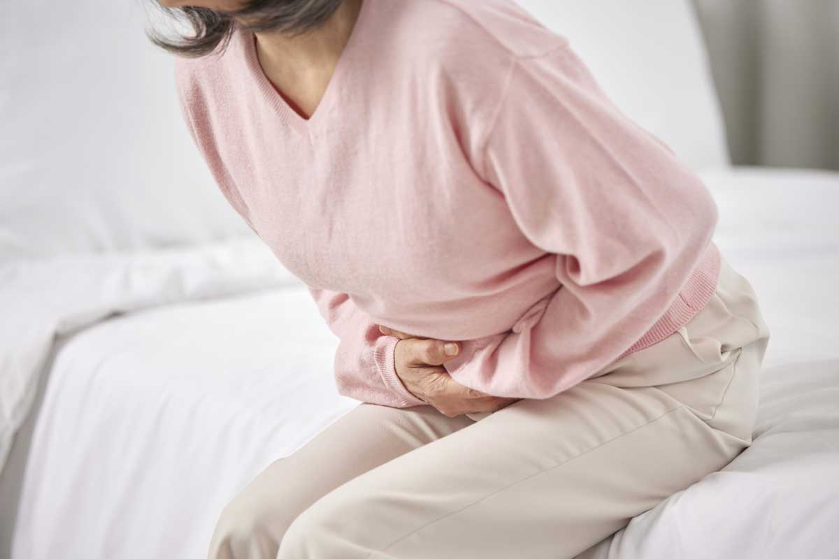 ���� ������ ������ ���