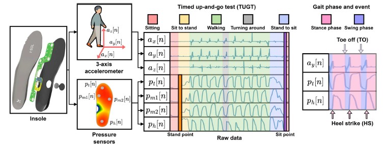 연구 성과 모식도