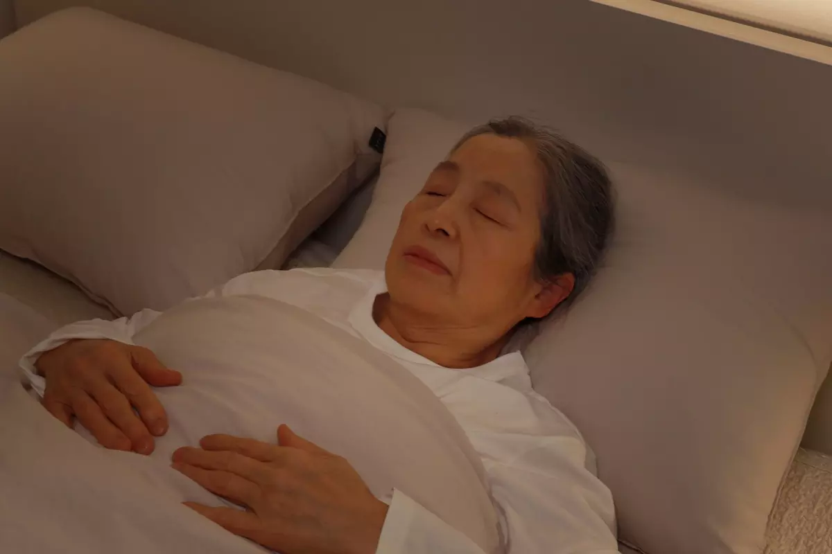 이미지