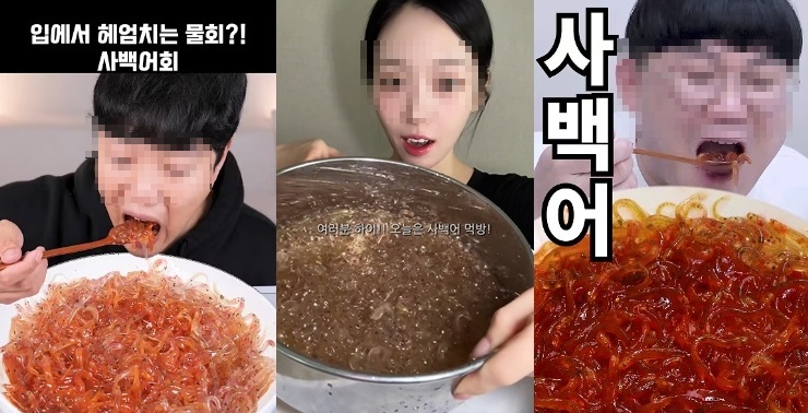 사백어 먹방 3개