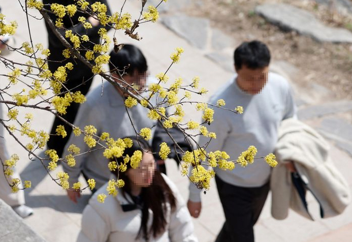 봄 나들이 중인 시민