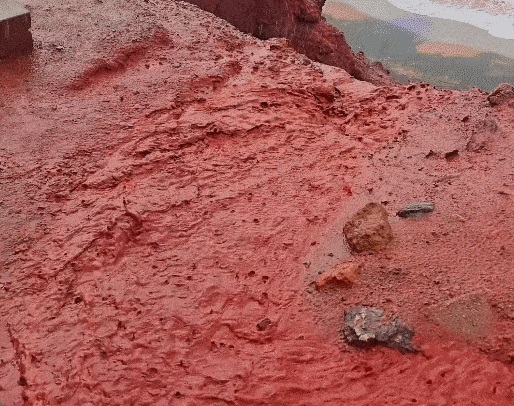 블러드레인 이미지