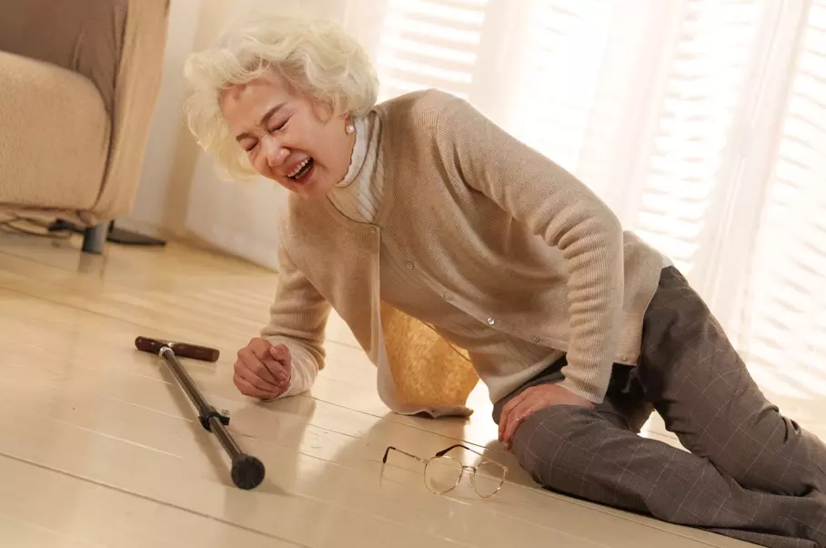 이미지