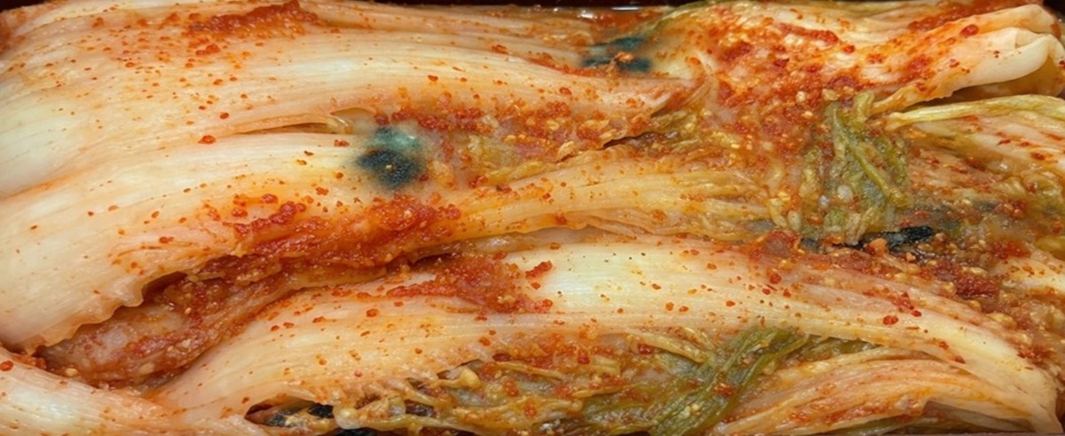 곰팡이 김치